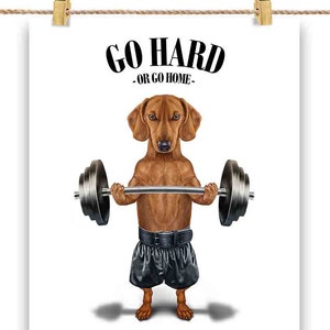 Haltérophilie pour chien teckel dans une salle de sport inspirante - impression d'affiches, art mural, décoration d'intérieur et cartes postales - PrintStarTee