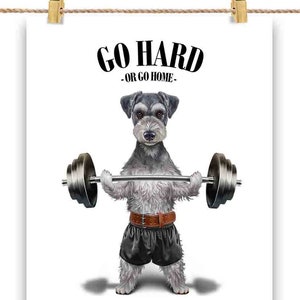 Mini Schnauzer Dog Haltérophilie et fitness dans la salle de sport - Impression d’affiche, art mural, décoration intérieure et carte postale - PrintStarTee