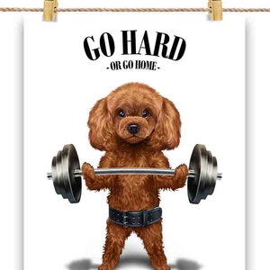 Toy Poodle Dog Haltérophilie dans la salle de fitness - Impression d’affiche, art mural, décoration intérieure et carte postale - PrintStarTee