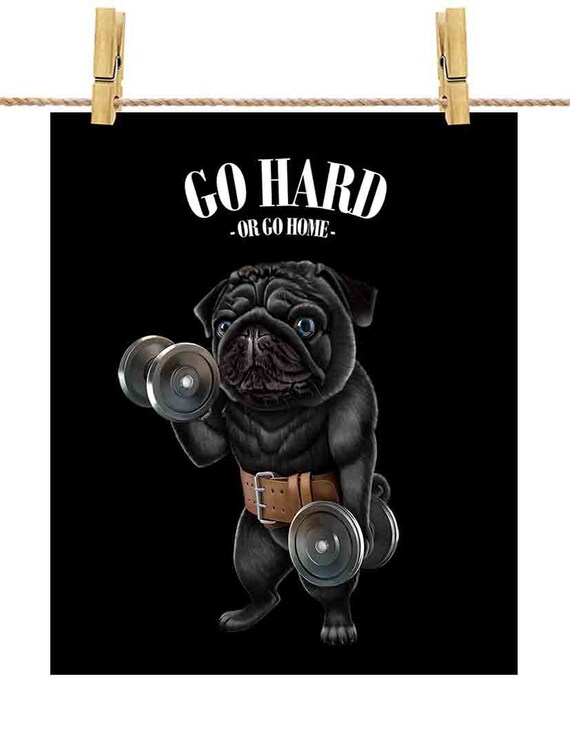 【★安心の定価販売★】 ダンベルでウェイトリフティングをする黒パグ犬の筋肉 描画・絵画