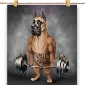 Entraînement musculaire de chien dogue allemand faon avec haltères, barre d'épaules, salle de sport - impression d'affiche, art mural, décoration d'intérieur et carte postale - PrintStarTee