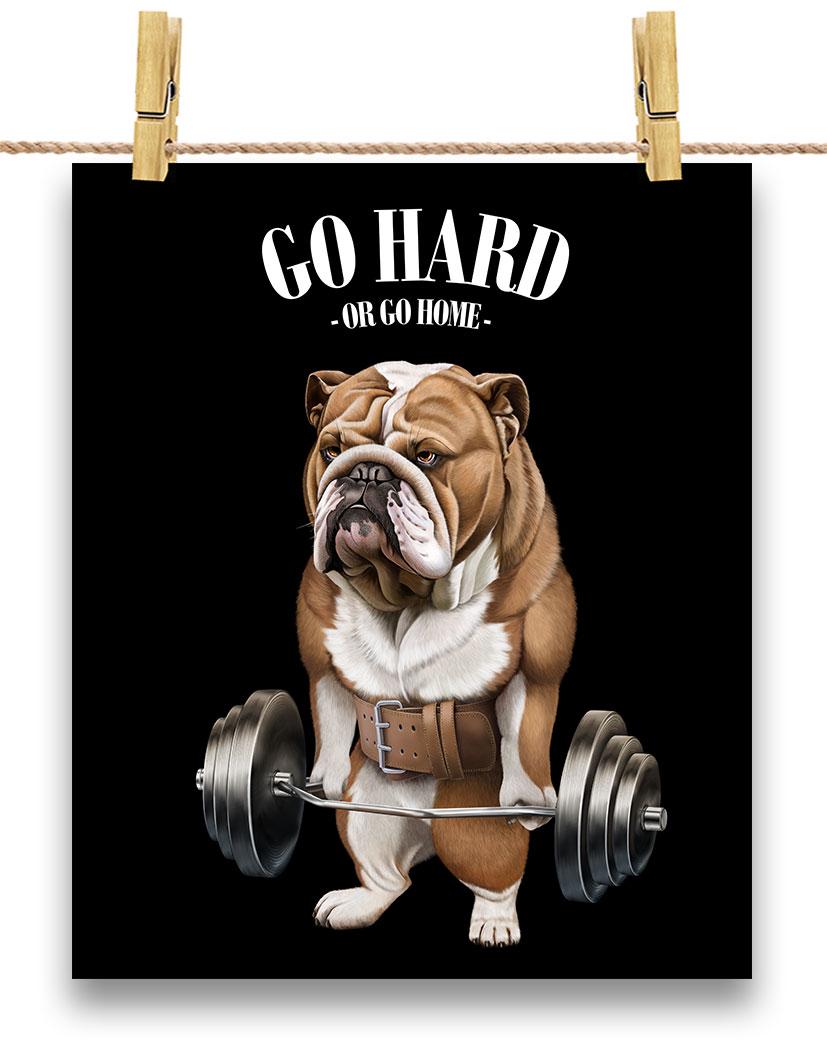 Maglietta Bulldog Gym – Manubri Cane Logo, Bodybuilding, 100% Cotone, Bianca, Taglie M L XL XXL - Foto 2