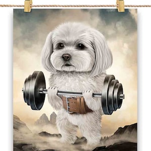 Maltese Dog Muscle Training Weightlifting - Poster Print, Wall Art, Home Decor, and Postcard - PrintStarTee