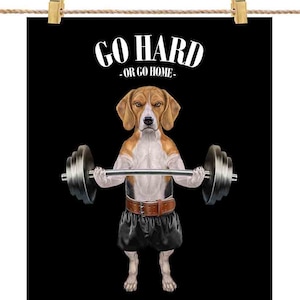Póster
