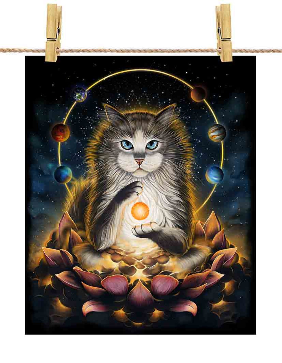 Le chat persan a atteint l'illumination spirituelle Type2