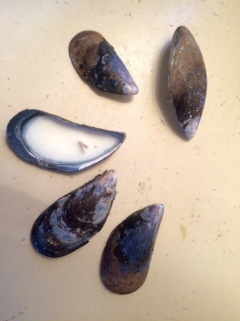 10 moules coquillage photophore bougies faits de coquillages Etsy