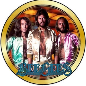 May include: A gold circular frame with a picture of the Bee Gees band members. The band members are wearing satin jackets and are standing in front of a gold and orange background. The band's name is written in blue letters at the bottom of the frame.