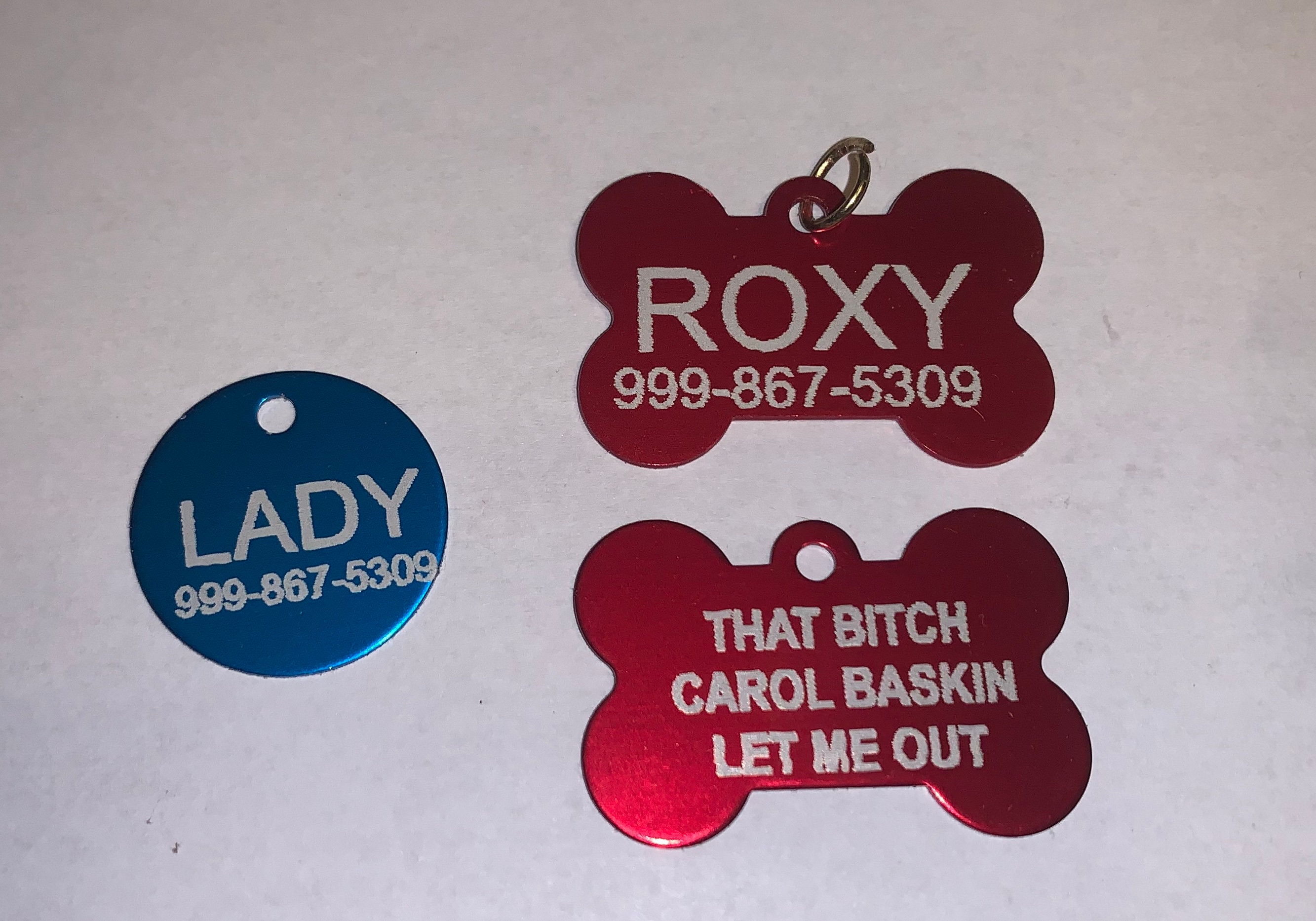 Funny Pet Tags with Personalization Etsy