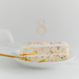 Acrylic Cake Toppers, Numbered Birthday Cake Topper, Acrylic Cupcake Topper, Birthday Cake Decorations