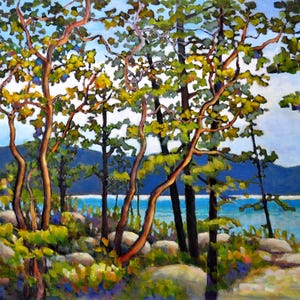 Arbres et cartes d'art paysager