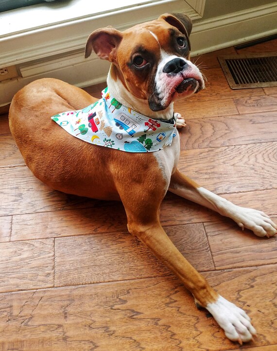 Dog bandana sale velcro closure