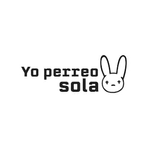 Yo perreo sola DECAL. 5”x2” decal. Car&#39;s window or bumper decal, Laptop, Drinking glass. Perfect birthday present for girls on any ocassion