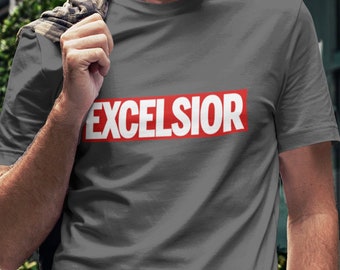 stan lee t shirt tribute