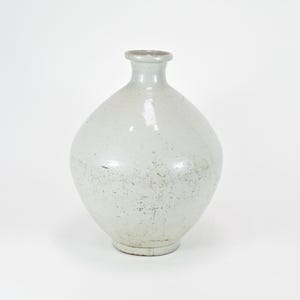 May include: A white ceramic vase with a rounded body and a narrow neck. The vase has a slightly speckled texture and a glossy finish. The overall shape is bulbous, with a small, circular base. The vase is a neutral color, suitable for various decor styles.