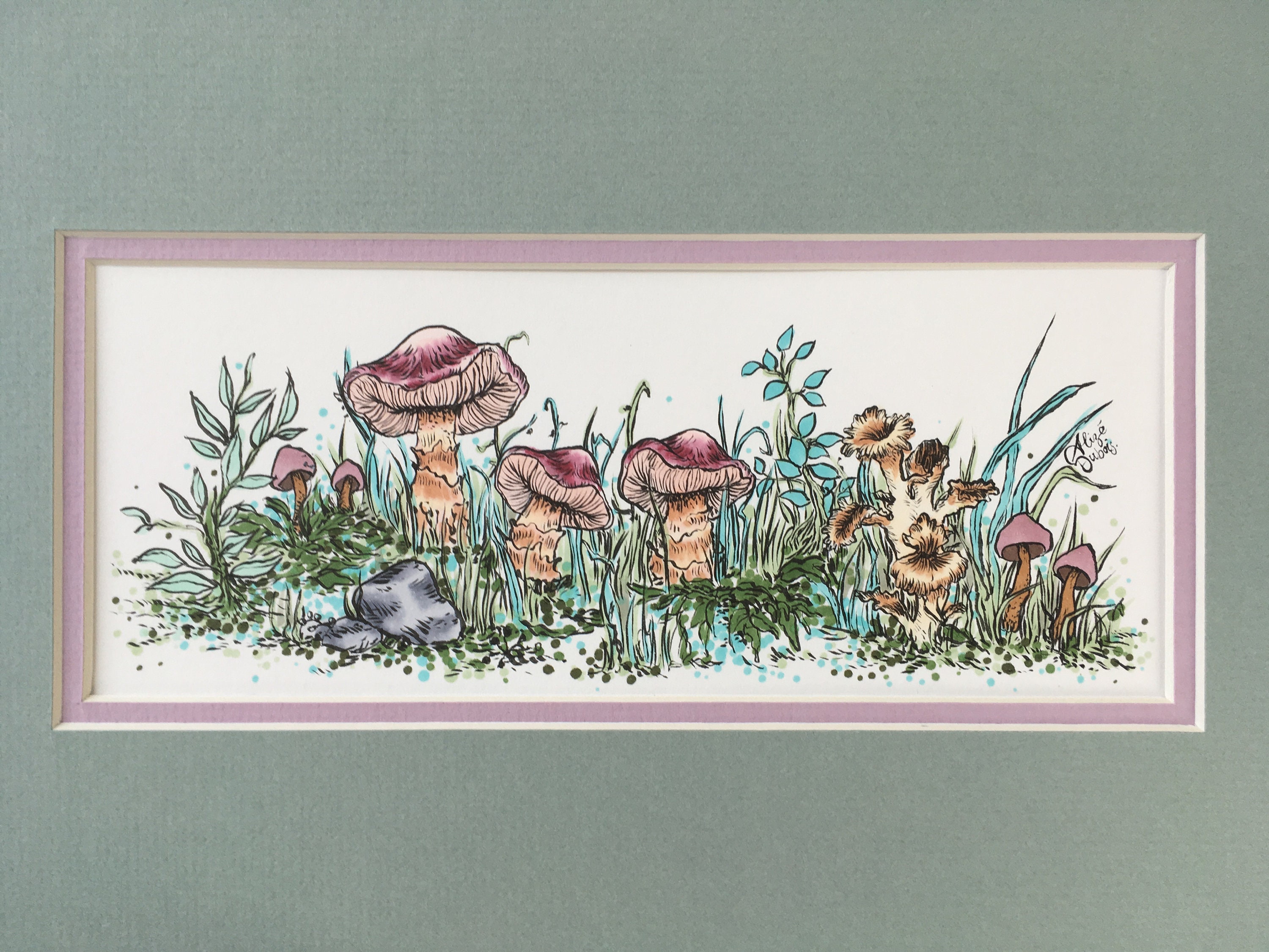 Mythicalponez Ollie Baby Orca fun toadstool plant nature illustration