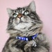 see more listings in the Cat Collars section