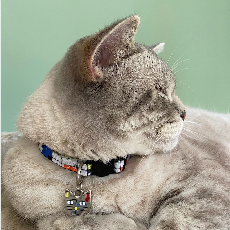 Puede incluir: Un gato gris y blanco con los ojos cerrados que lleva un collar estampado de colores con una etiqueta en forma de gato.