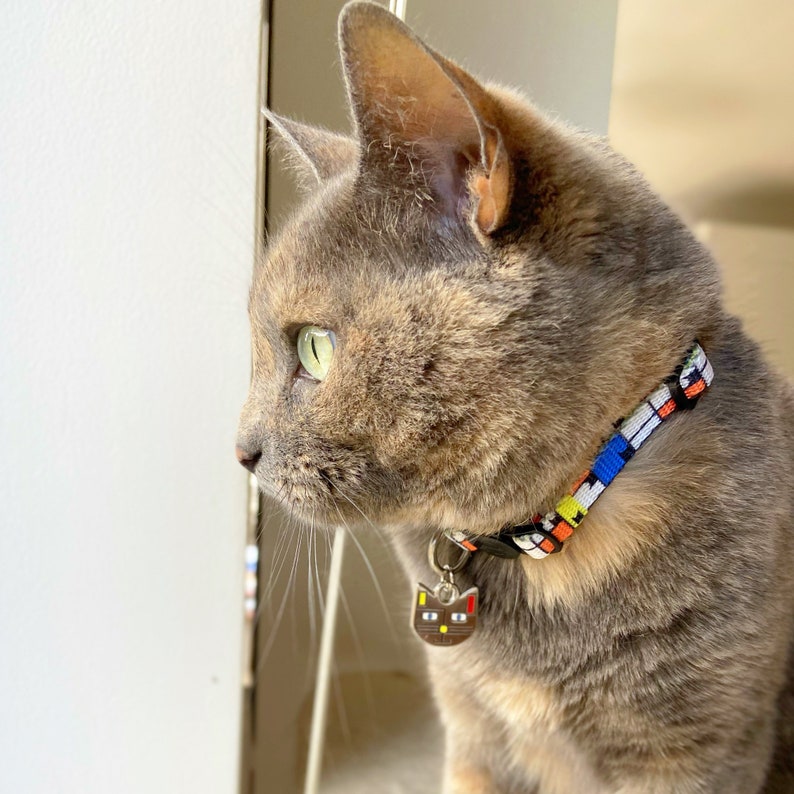 Puede incluir: Un gato atigrado gris y marr&oacute;n con ojos verdes mira por una ventana. El gato lleva un collar estampado de colores con una etiqueta en forma de gato.