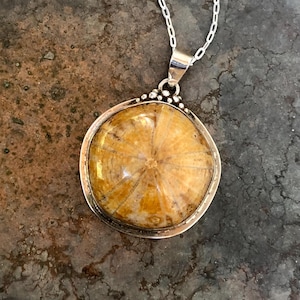 Fossil Sea Urchin and Sterling Silver Women’s Necklace