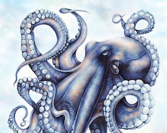 Big Blue Octopi canvas print