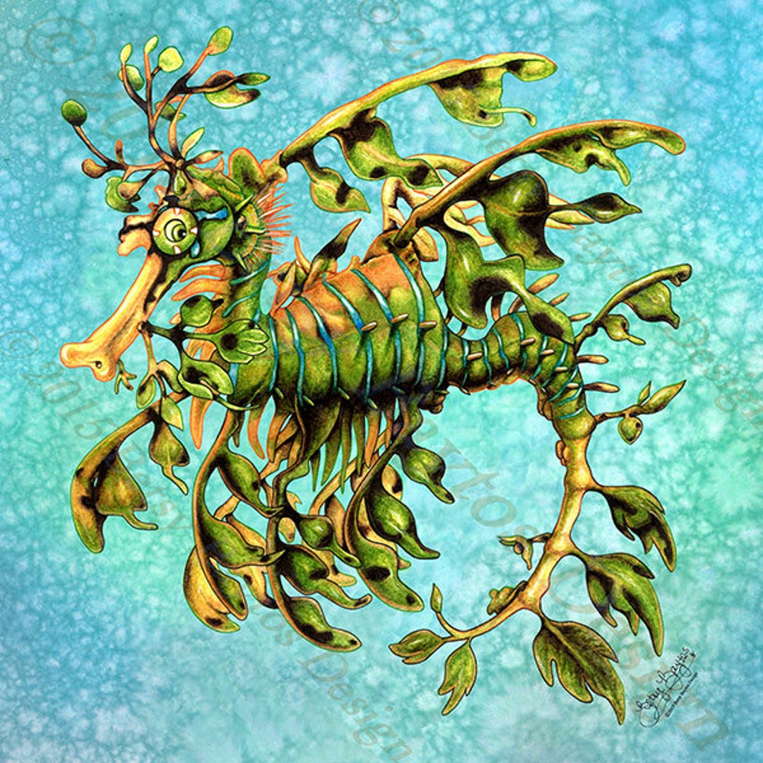 Leafy Sea Dragon Art Tile - Etsy 日本