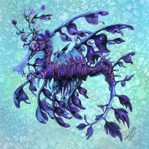 Leafy Sea Dragon Art Tile image 4