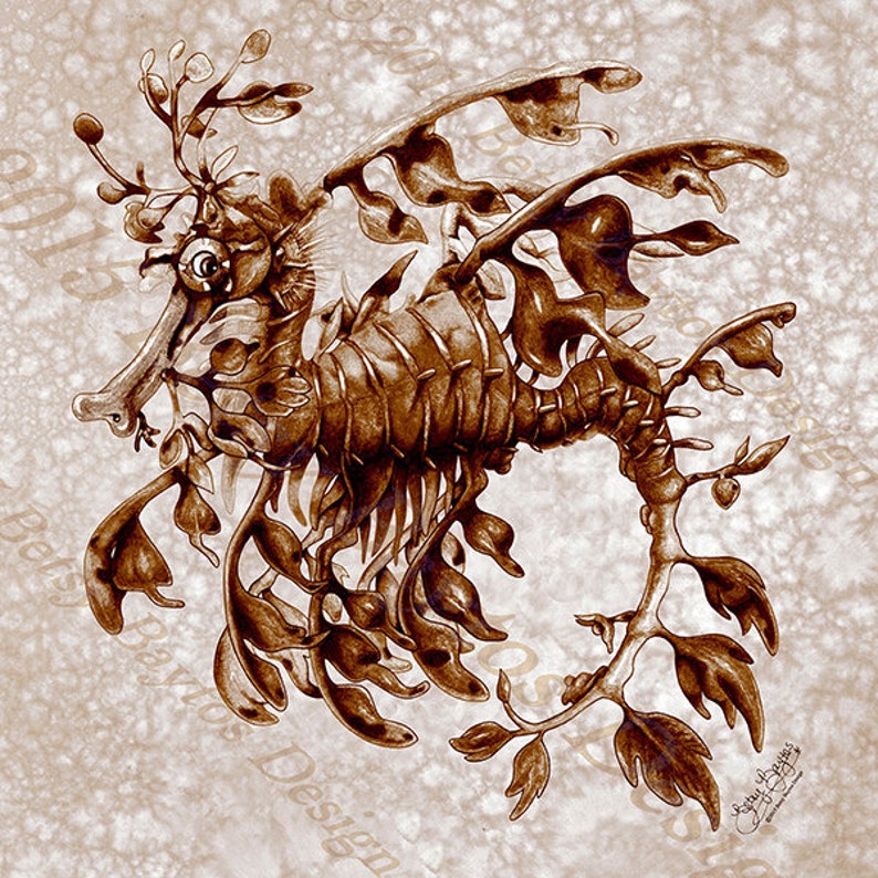 Leafy Sea Dragon Art Tile image 5