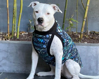 dog sweater for pitbull