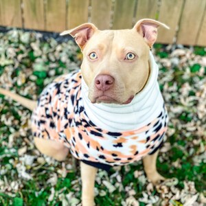 Best dog coats for pitbulls discount