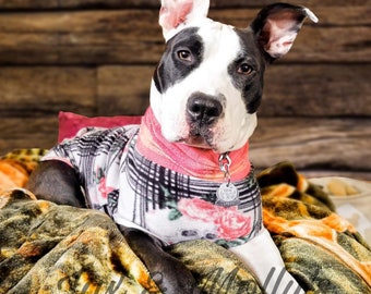 ladies dog sweater