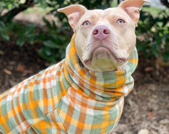 dog hoodies for pitbulls