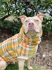 Fall Plaid Green Dog Sweater | Winter Dog Sweater | Fleece Dog Coat | Pullover Dog Sweater | Jax & Molly's 