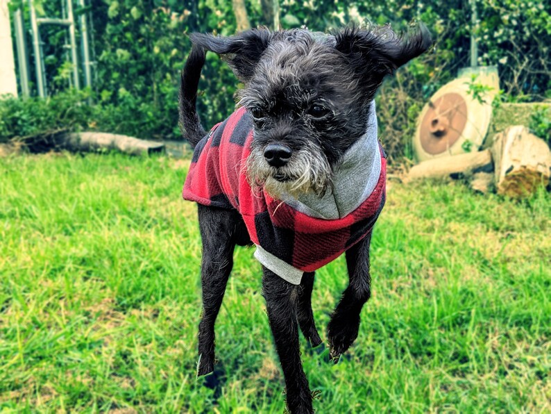 Grey and Black Lumberjack Print Warm Fleece Pullover Dog Sweater MEDIUM Dog Fleece Sweater Sweatshirt Turtleneck