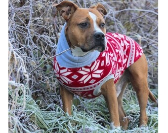 dog sweater for pitbull