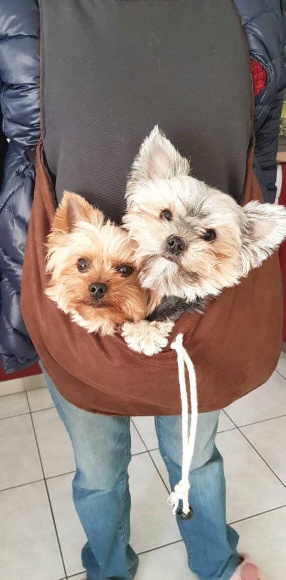 Sac De Transport Pour Chien Sac à Dos Pour Chien En Suédine Sac De Transport Spécial Voyage