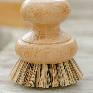 CASA AGAVE™ Pot Scrubber Brush