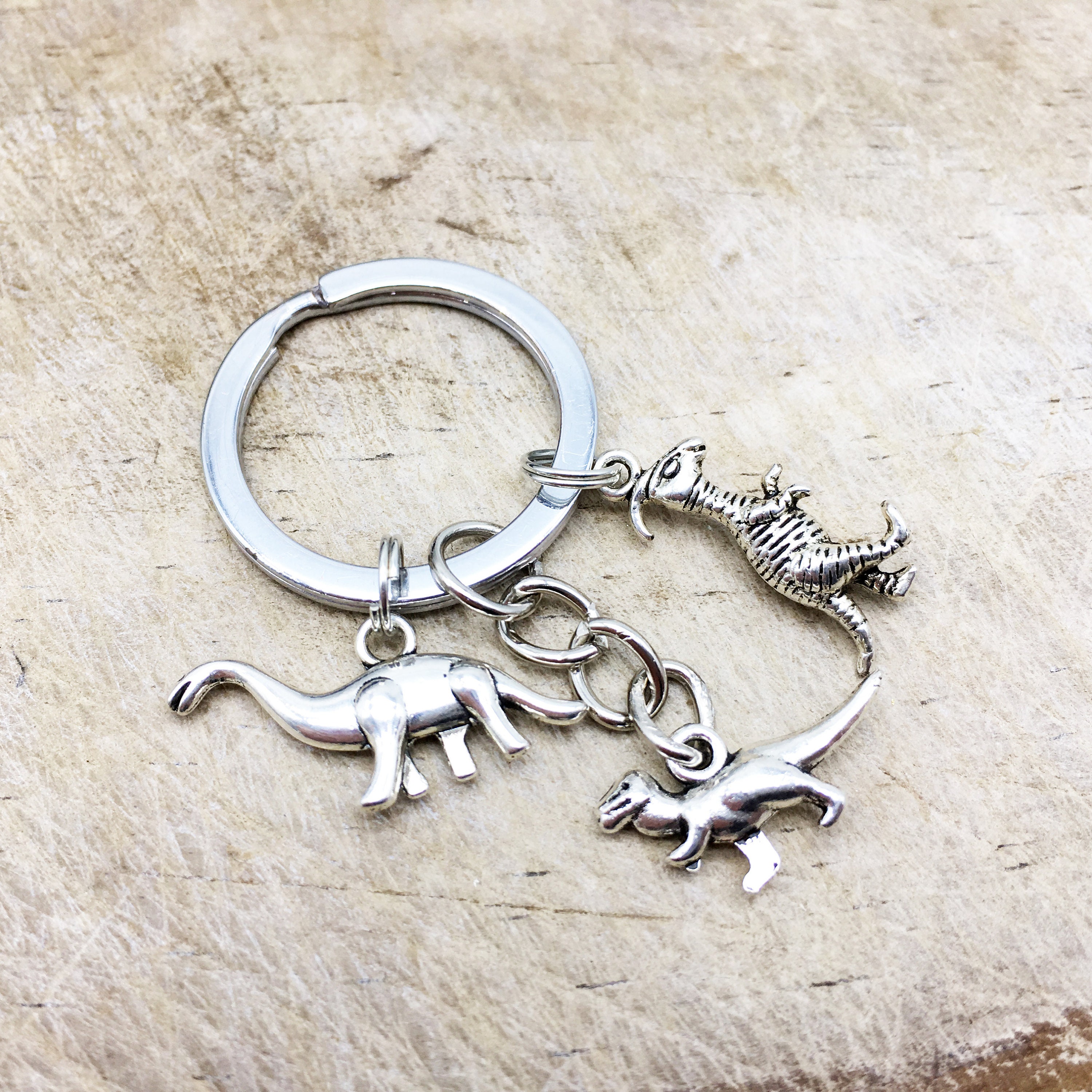 DINOSAUR Keychain Dinosaur Keyring Dino Keychain Dino Keyring Etsy