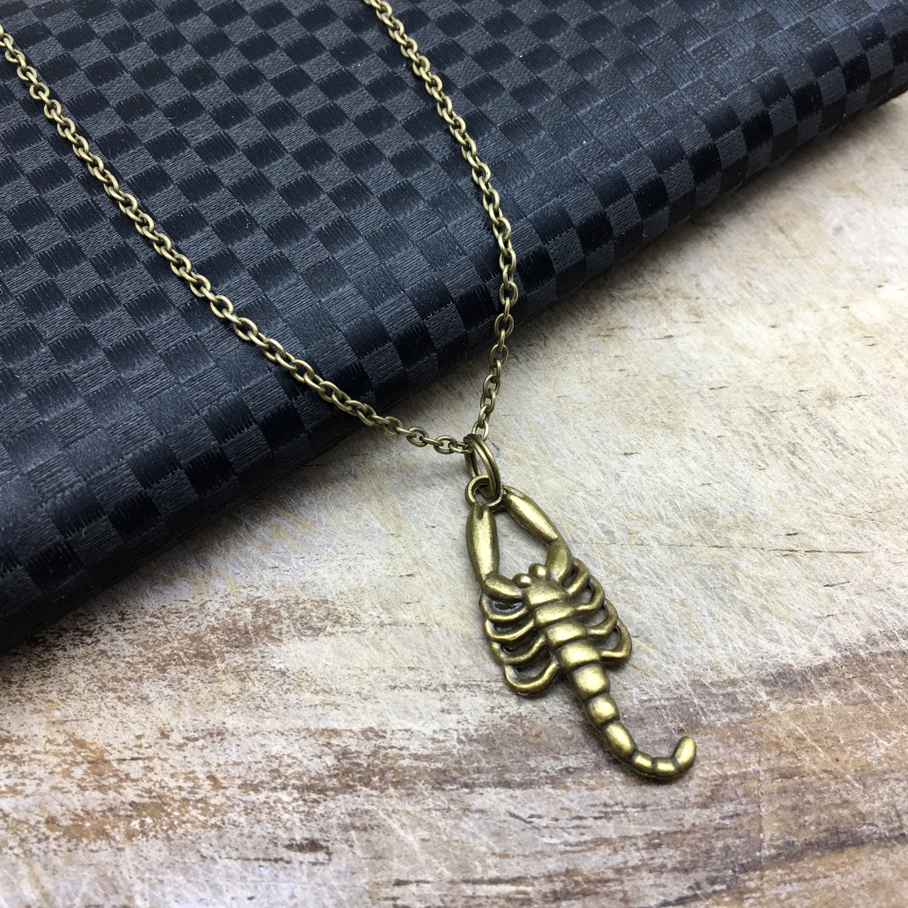 SCORPION Necklace Scorpion Jewelry Scorpion Gift Insect Etsy