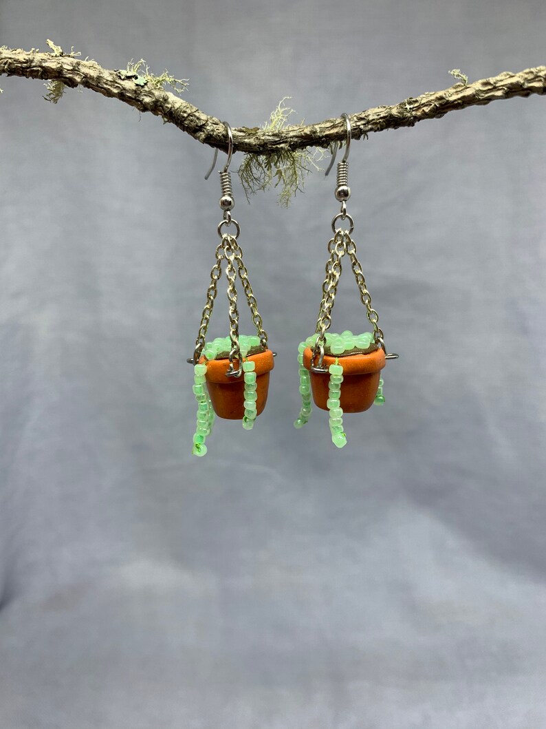 Variegated String of Pearls Plant Hanging Earrings Etsy