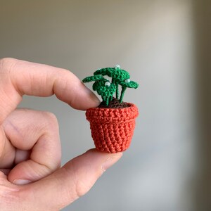 Mini Crochet Pilea Peperomioides