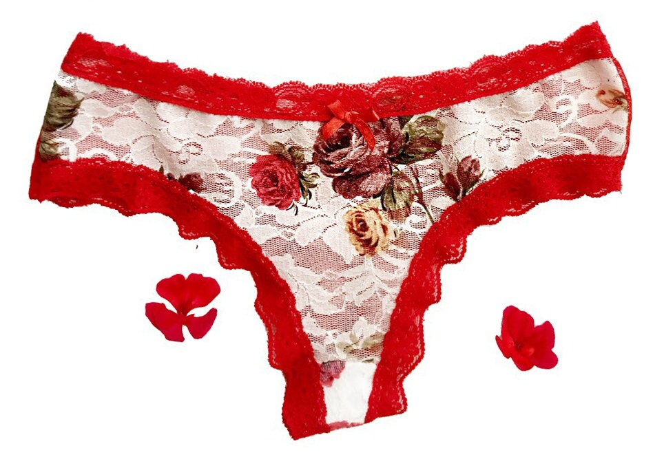 Cheeky Floral Lace Panties. 2 Pack. Red and White with Roses. Etsy