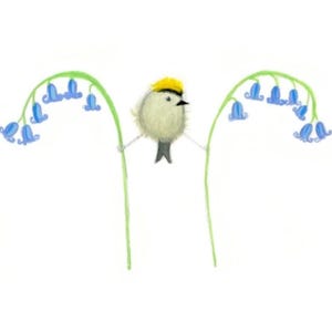 Tarjeta con un reyezuelo crestado dorado colgado de flores de campanilla azul, tarjeta de felicitación, tarjeta de recuperación, tarjeta de pájaro, tarjeta en blanco, observador de aves, observación de aves, arte de aves