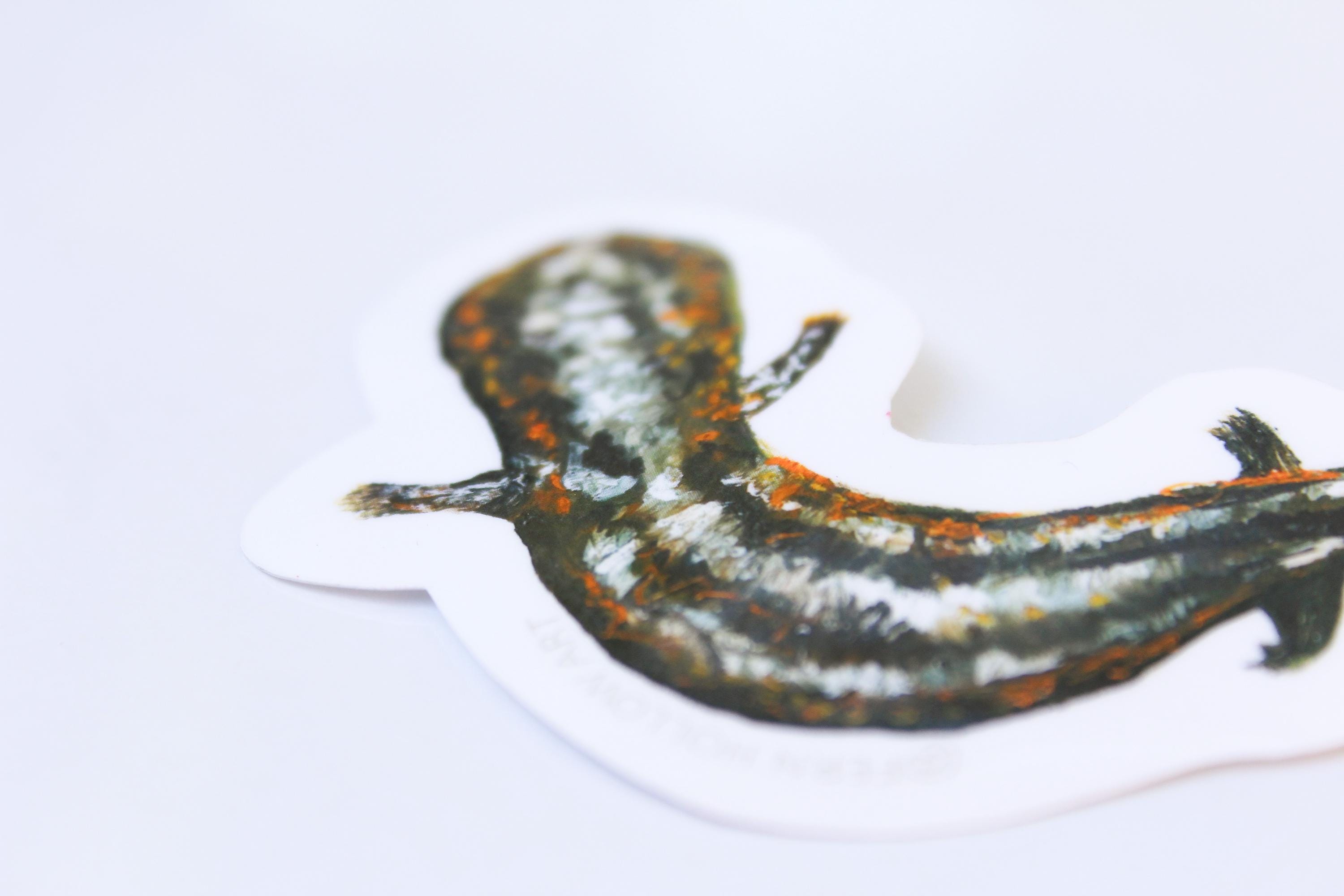 Eastern Hellbender Sticker - Etsy