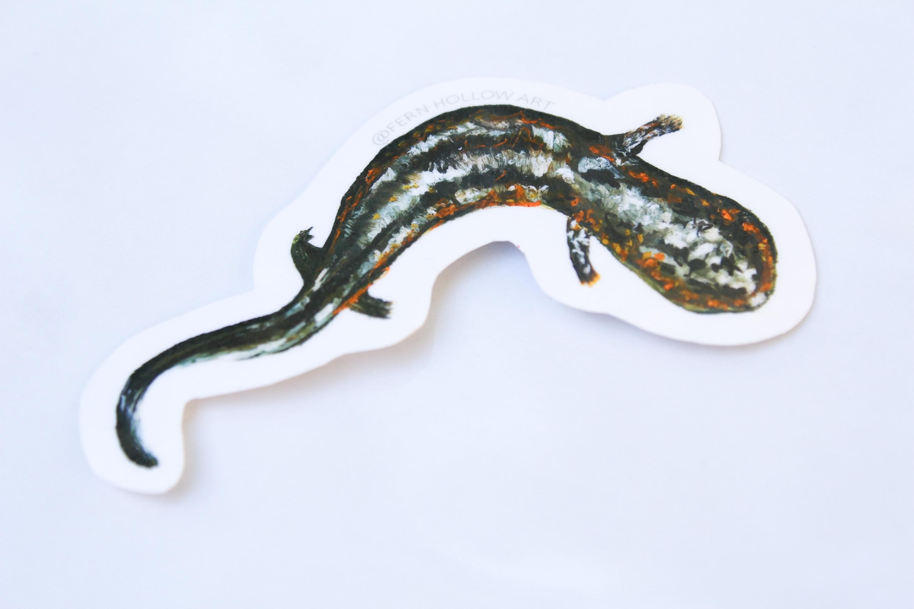 Eastern Hellbender Sticker - Etsy