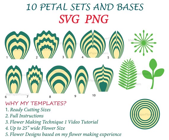 Digital Giant Paper Flower Svg Png Combo Large Paper Flower Etsy