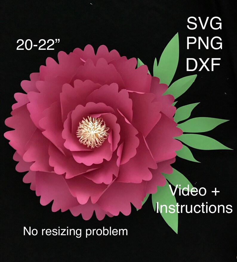 Peony Paper Flower Template Svg