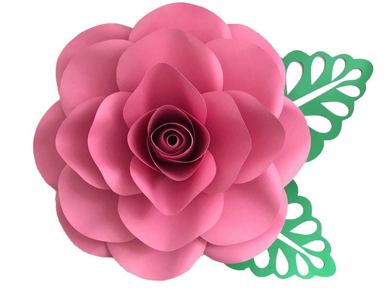 Download 6 Paper Flower Leaves SVG PDF PNG DXf Branches Svg Rose ...