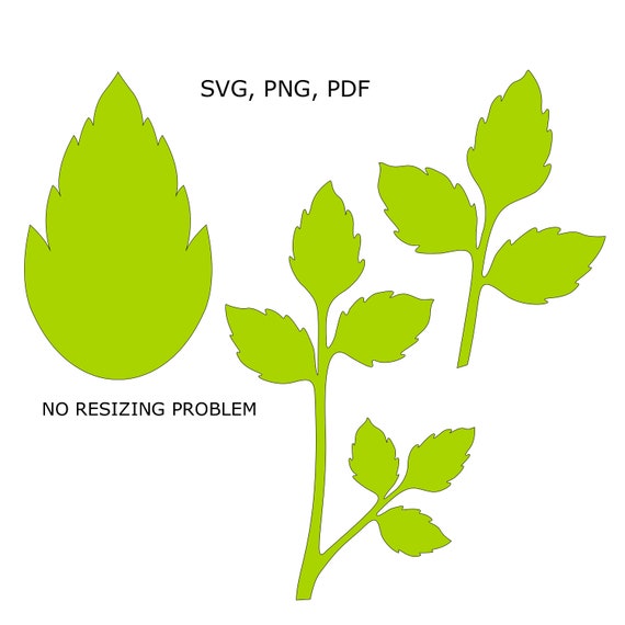Free Free 58 Paper Flower Leaf Template Svg SVG PNG EPS DXF File