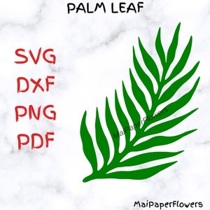 Palm Leaf SVG PNG DXF Printable PDf Palm Leaves Svg Leaf Templates Leaf Vector Tropical Leaves Svg Branch Svg Branches Svg Leaf Cut Files
