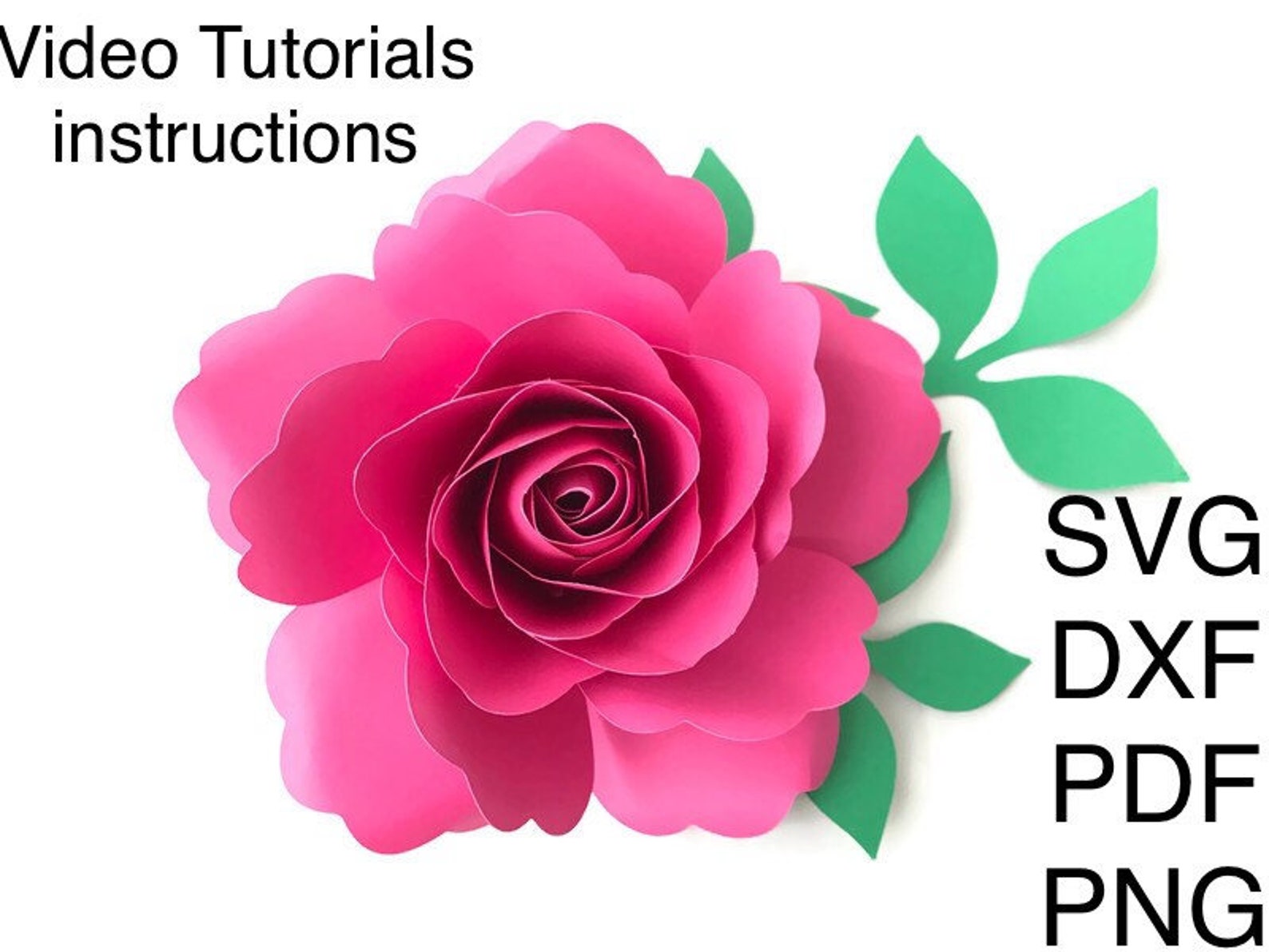 Small Paper Rose Template SVG DXF PDF Png 7 Small Paper Etsy